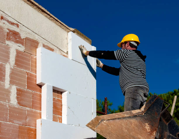 Best Eco-Friendly Insulation in Wyandotte, MI