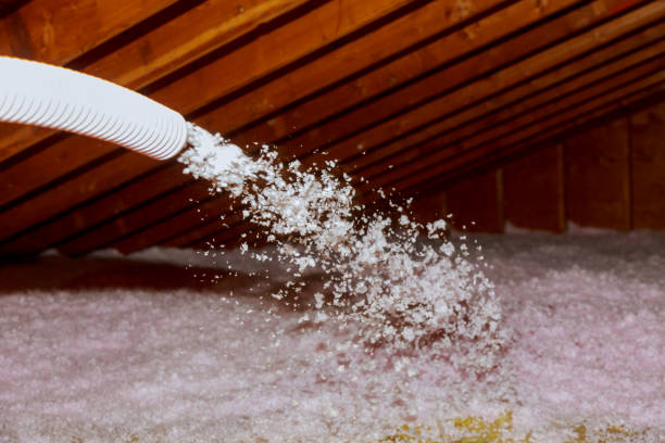 Best Spray Foam Insulation in Wyandotte, MI
