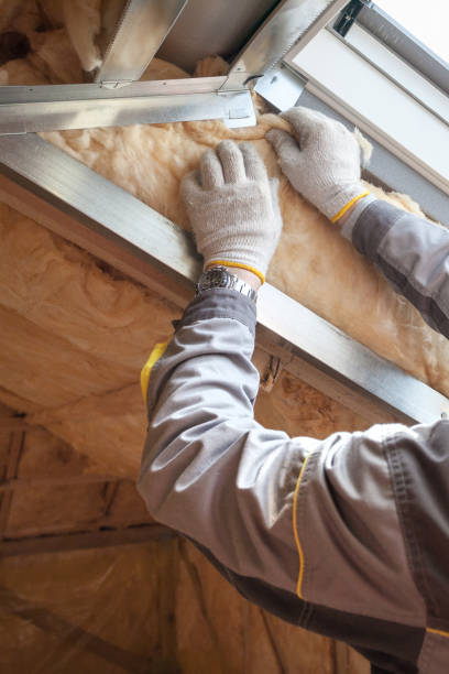 Best Cellulose Insulation in Wyandotte, MI