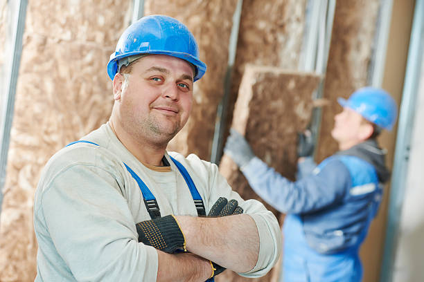 Best DIY Insulation Kits and Guidance in Wyandotte, MI