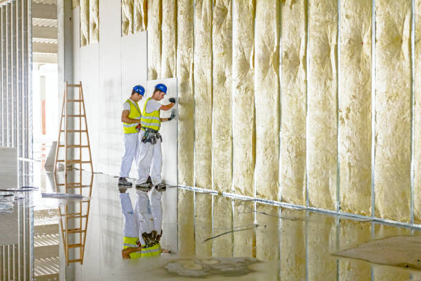 Best Specialized Insulation Services in Wyandotte, MI